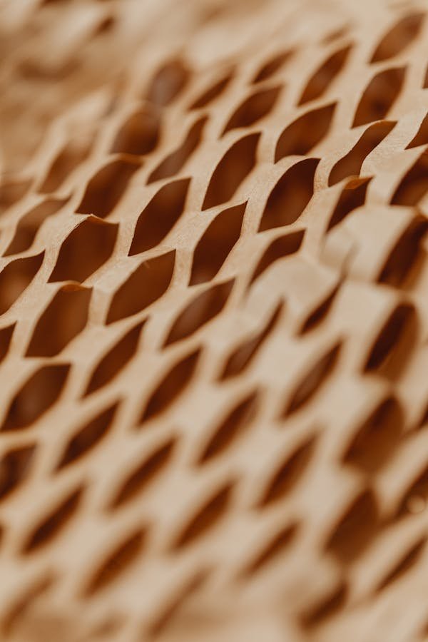 Discover the incredible potential of honeycomb cardboard packaging